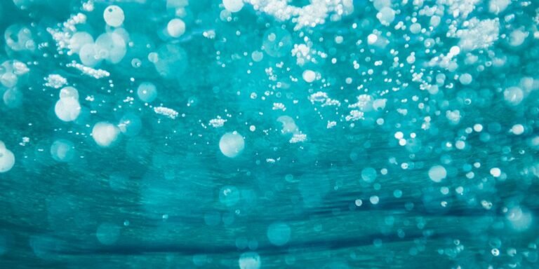 What to Do If You Spill Water on Your Laptop Advice from Harwich Experts